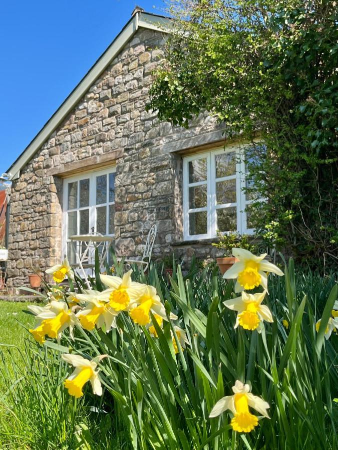 The Billiard Room - Cosy Country Retreat Abergavenny Buitenkant foto